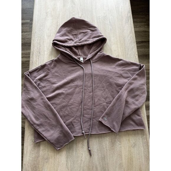 Alo Yoga Box Crop Hoodie Raw Hem in Smoky Quartz Terry Cloth Size Small - Picture 2 of 8